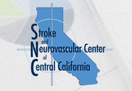 Stroke & Neurovascular Center Logo