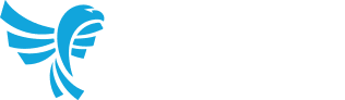 Blue Eagle Consulting logo